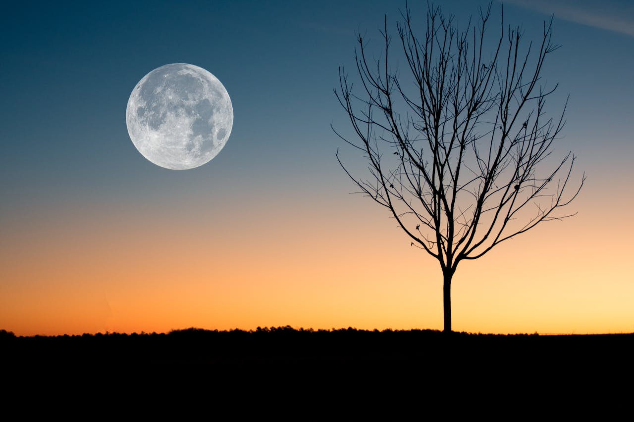 Mond Horizont Mond beobachten – Ein Guide für Anfänger